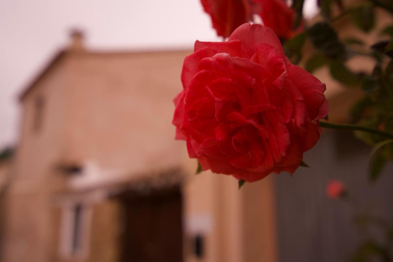 El Cau De Corcolilla Villa Dış mekan fotoğraf